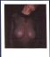 sheer032.jpg